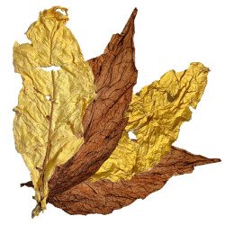 Feuilles de tabacs Mélange - 50% Burley - 50% Virginia Français de 500g à 2kg