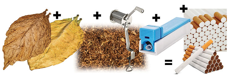 Comment réhydrater, écôter et émincer vos feuilles de tabac